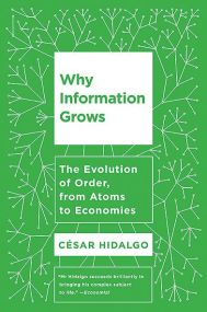 Why Information Grows