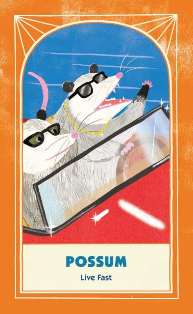 The “Possum: Live Fast” card from “Trash Animals Oracle: Inspiration and Guidance from Chaotic Creatures”