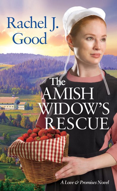 The Amish Widow’s Rescue