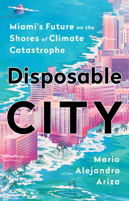 Disposable City