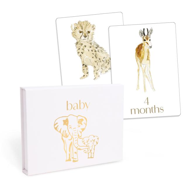 Baby: First Year Milestone Cards