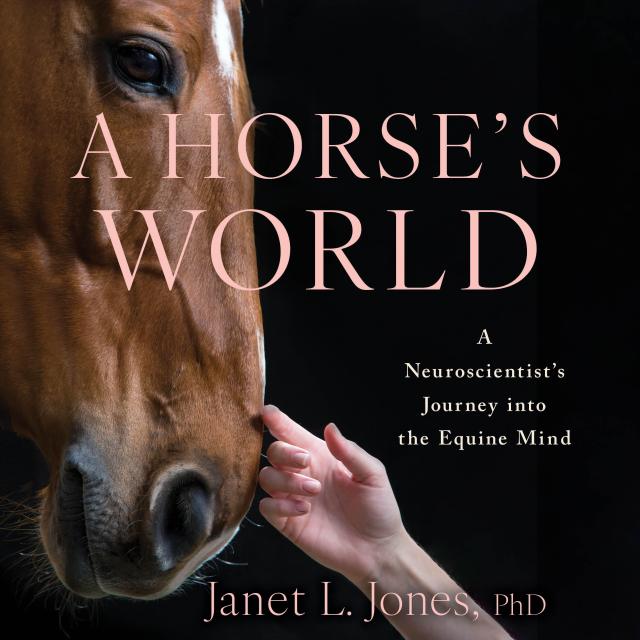 A Horse’s World