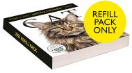Cat Page-A-Day® Gallery Calendar Refill Pack 2027