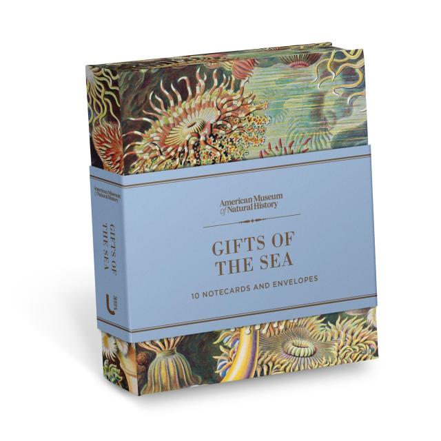 Gifts of the Sea