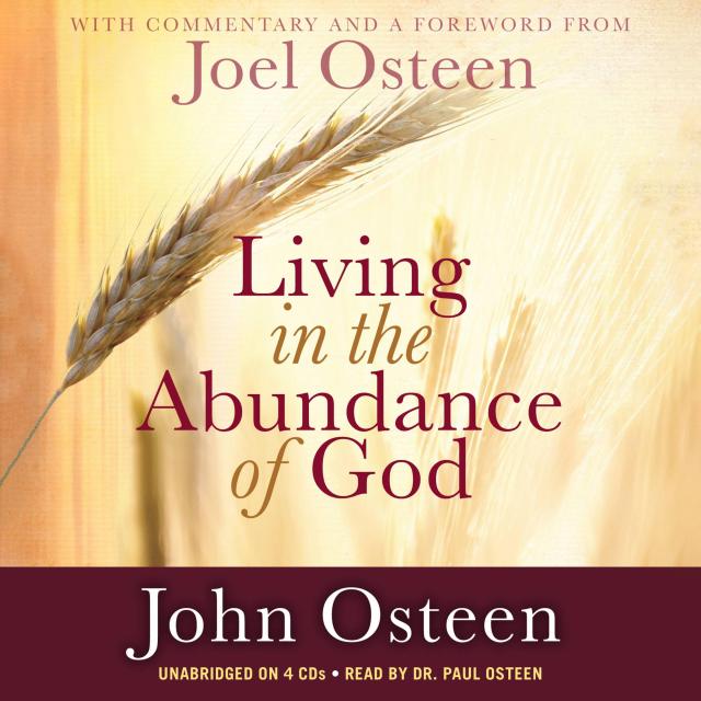 Living in the Abundance of God